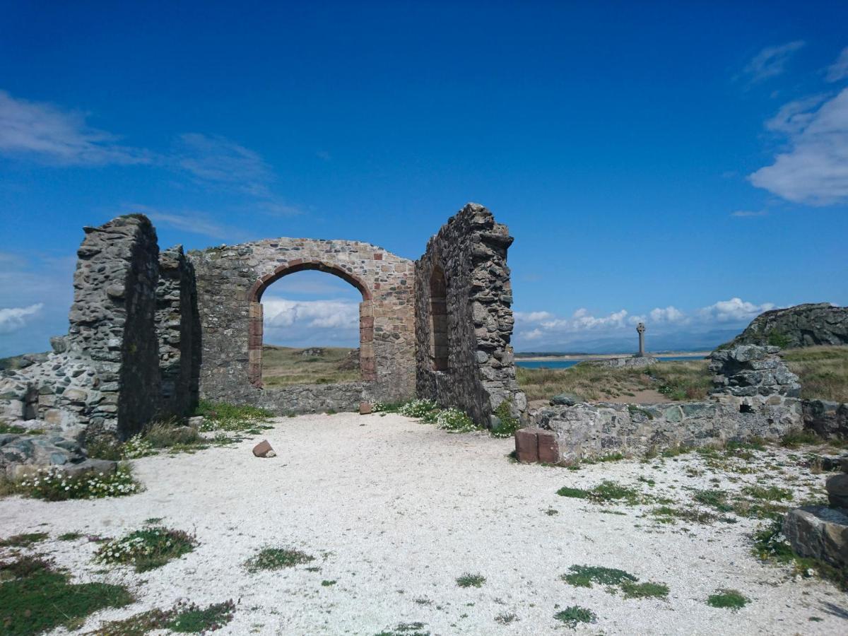 Y Goedwig Llanfairpwllgwyngyll