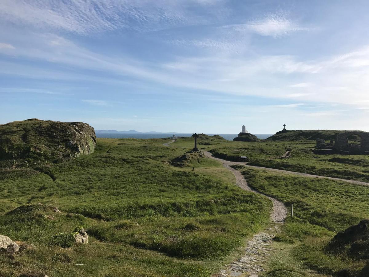 Y Goedwig * Llanfairpwllgwyngyll